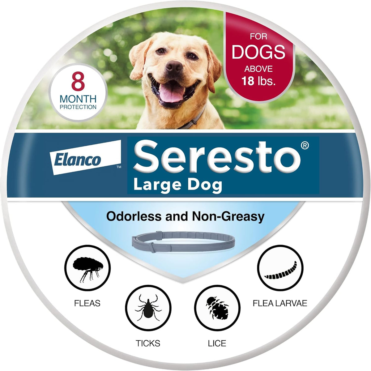 Pet Supplies