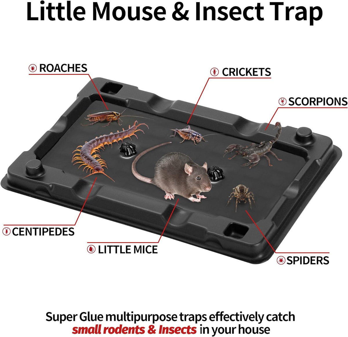 LULUCATCH Mouse & Insect Traps 12 Pack, Heavier Sticky Traps with Non-Toxic