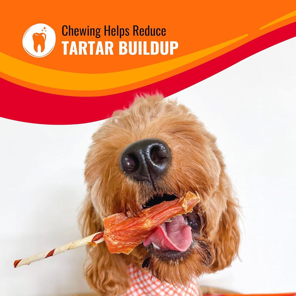 Good ‰Û÷n‰۪ Fun Triple Flavor Rolls for Large Dogs, Treat Your Dog to